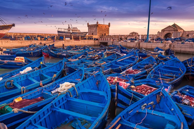 Blue fishing boats at Essaouira port in Morocco