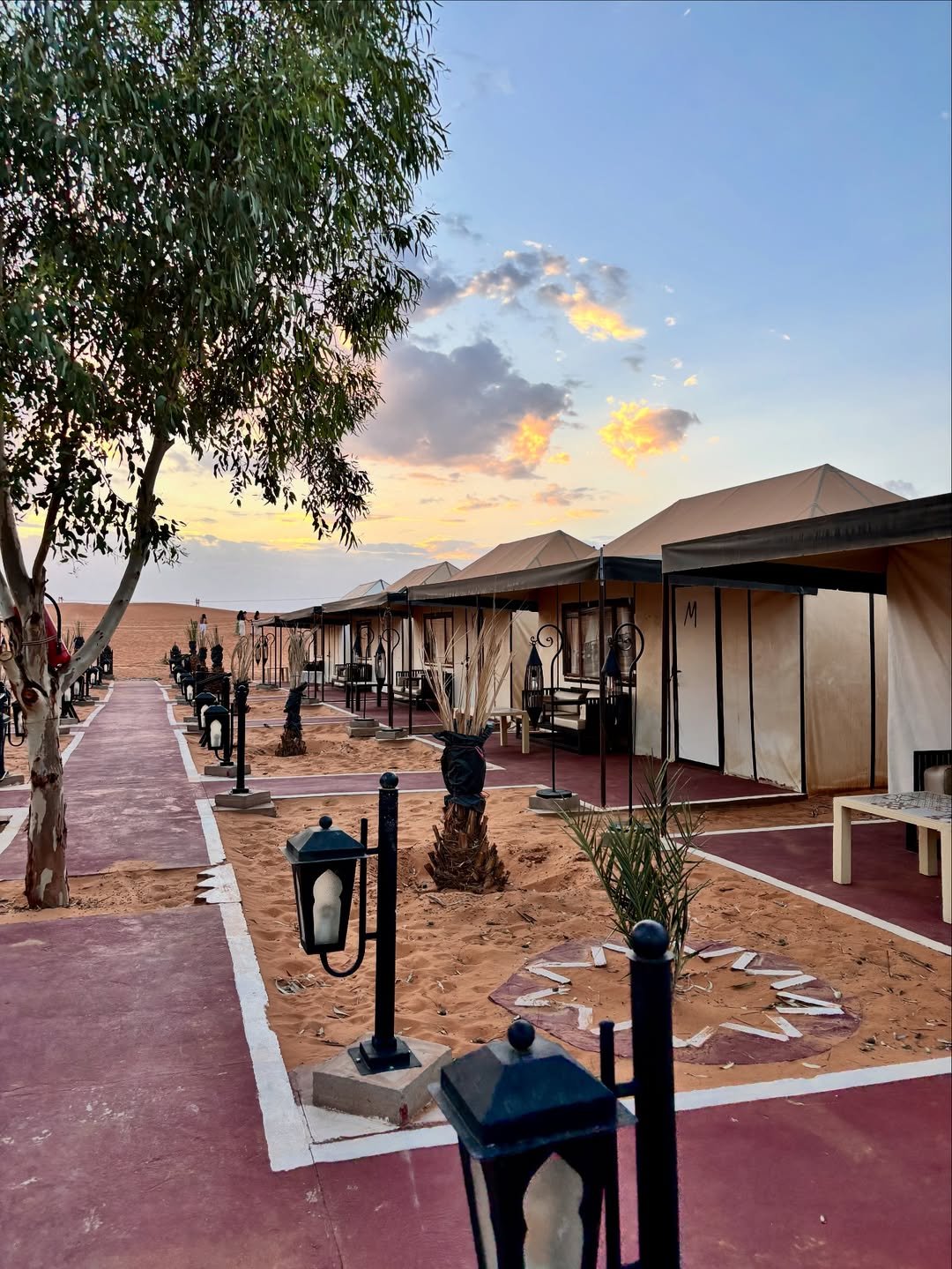 Happy travelers with Marrakech Vibes in Morocco